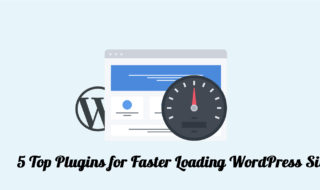 5 Top Plugins for Faster Loading WordPress Sites